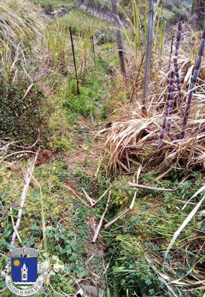 recuperacao-e-pavimentacao-vereda-no-sitio-do-jangao