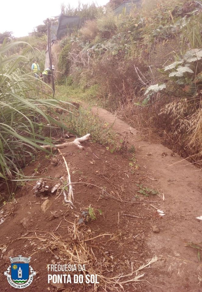 mondas-e-limpezas-na-aberta-caminho-castanheiro