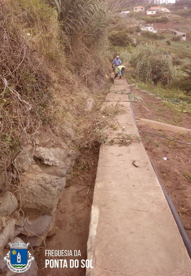 mondas-e-limpezas-na-aberta-caminho-castanheiro