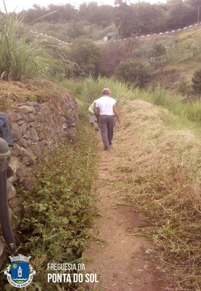 mondas-e-limpezas-na-aberta-caminho-castanheiro