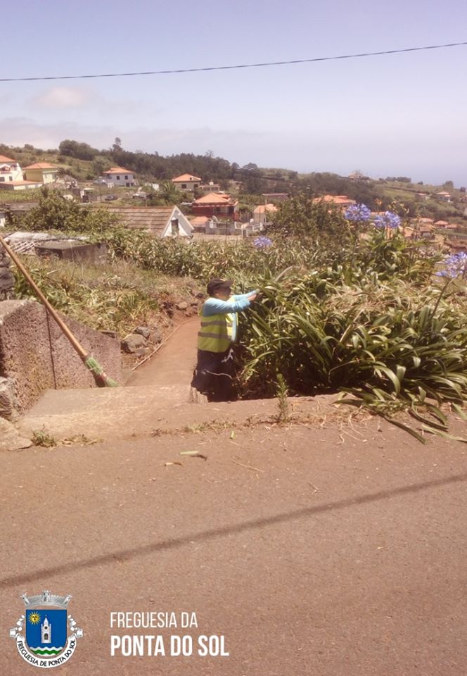 limpezas-das-veredas-e-levadas-no-pomar-d-joao