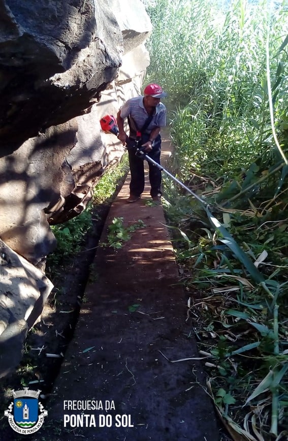 limpezas-entre-o-sitio-dos-fregueses-novos-e-sitio-dos-poios