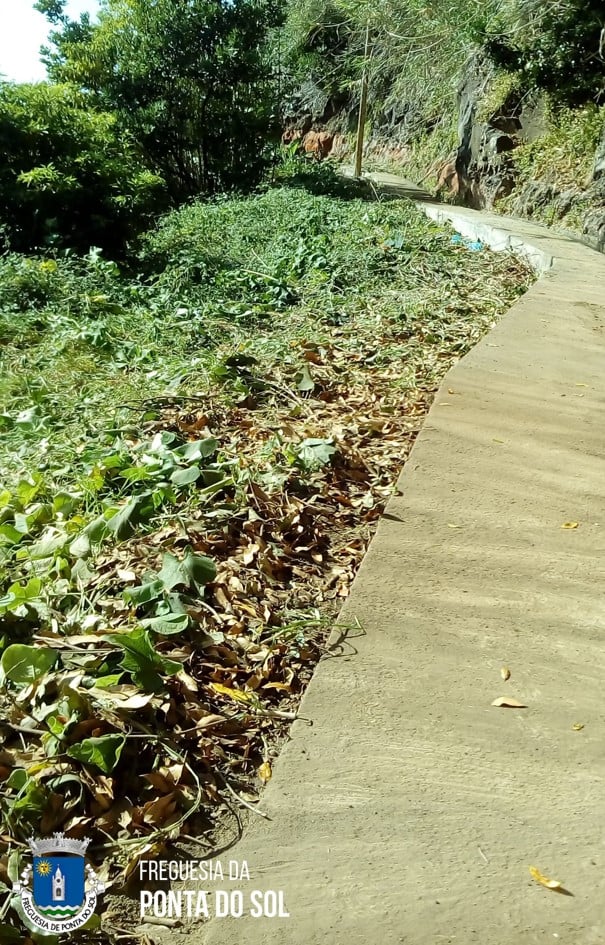 limpezas-no-sitio-dos-fregueses-novos