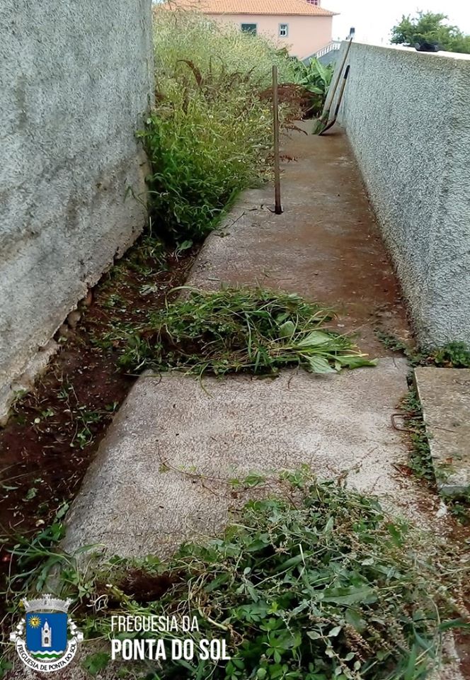 mondas-e-limpezas-no-sitio-do-lombo-de-sao-joao