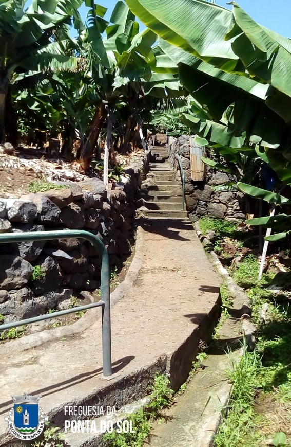 limpeza-no-sitio-dos-lemes