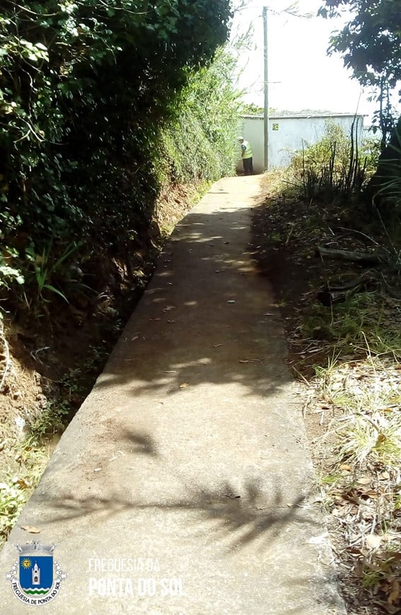 estivemos-no-sitio-da-achada-tercas-a-fazer-as-mondas-e-as-limpezas