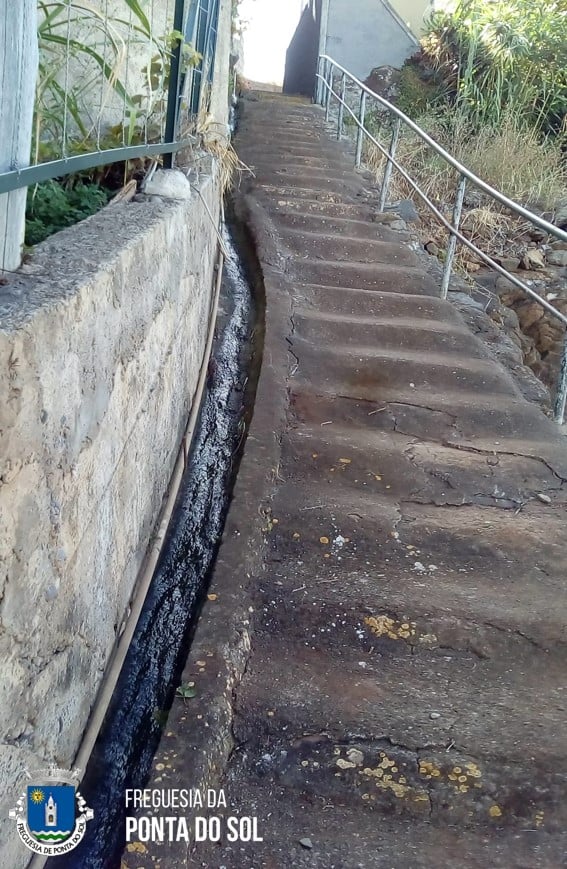 sitio-das-tercas-trabalhos-de-limpeza-e-mondas-das-veredas