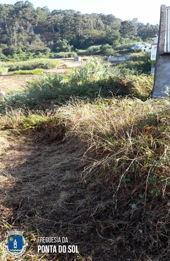atuamos-no-sitio-da-borboleta-jangao