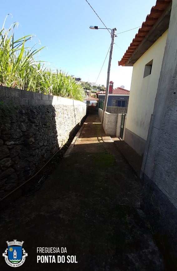 limpezas-e-mondas-no-caminho-castanheiro-e-lombo-das-tercas