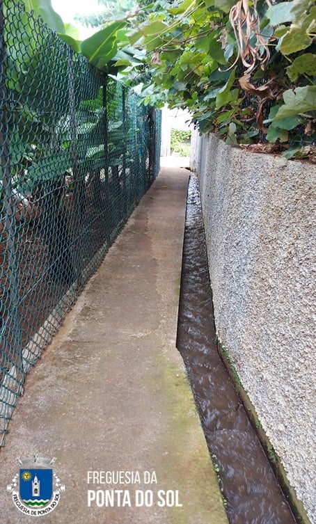 mondas-e-limpezas-no-sitio-de-sao-caetano